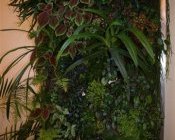 Vertikaler Garten mit Orchideen nach 10 Monaten